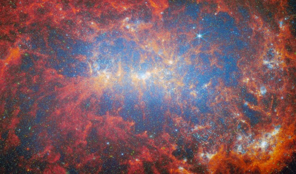 Featured in this new image from the NASA/ESA/CSA James Webb Space Telescope is the dwarf galaxy NGC 4449. This galaxy, also known as Caldwell 21, resides roughly 12.5 million light-years away in the constellation Canes Venatici. It is part of the M94 galaxy group, which lies close to the Local Group that hosts our Milky Way.NGC 4449 has been forming stars for several billion years, but it is currently experiencing a period of star formation at a much higher rate than in the past. Such unusually explosive and intense star formation activity is called a starburst and for that reason NGC 4449 is known as a starburst galaxy. In fact, at the current rate of star formation, the gas supply that feeds the production of stars would only last for another billion years or so. Starbursts usually occur in the central regions of galaxies, but NGC 4449 displays more widespread star formation activity, and the very youngest stars are observed both in the nucleus and in streams surrounding the galaxy. It's likely that the current widespread starburst was triggered by interaction or merging with a smaller companion; indeed, astronomers think NGC 4449's star formation has been influenced by interactions with several of its neighbours. NGC 4449 resembles primordial star-forming galaxies which grew by merging with and accreting smaller stellar systems. Since NGC 4449 is close enough to be observed in great detail, it is the ideal laboratory for astronomers to study what may have occurred during galaxy formation and evolution in the early Universe. This new image makes use of data from two of Webb’s instruments: MIRI (Mid-InfraRed Instrument) and NIRCam (Near-InfraRed Camera). Observations in the infrared reveal the galaxy’s creeping tendrils of gas, dust and stars. The bright blue spots reveal countless individual stars, while the bright yellow regions that weave throughout the galaxy indicate concentrations of active stellar nurseries, where new stars are forming. The orange-red ar